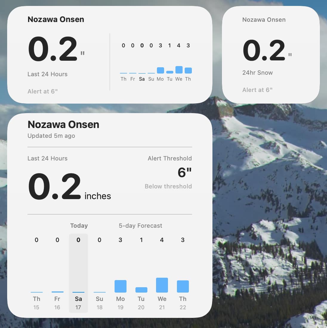 All three widget sizes